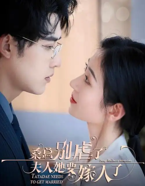 长夜有灯 热播电视剧全集在线观看